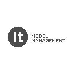 it model management