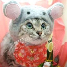 suyiyi9791's profile picture. 無言フォロー失礼しますm(_ _)m語学大好きです。気ままにいいねさせていただきますがお許しください(^-^)☆
C to J, E to J Translator