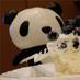 Mattari Panda (@mattari_panda) Twitter profile photo