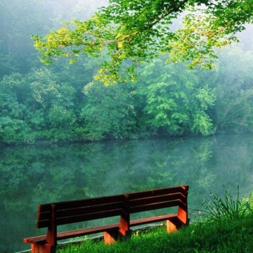 shujakhan7777's profile picture. 