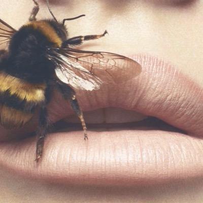 blasstted's profile picture. ok cool