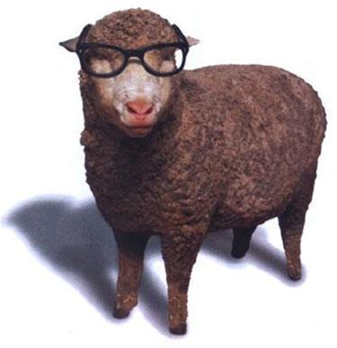 Smart Sheep is a blog that provides sound investment advice at no cost to the reader.