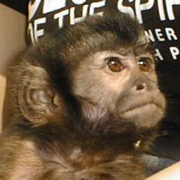 アーさん Ah San1431 Twitter