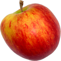 Eet Gezond (@eetgezond) 's Twitter Profile