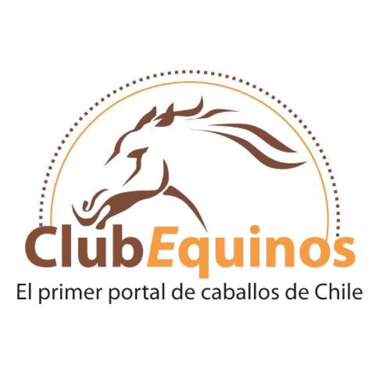 Somos el portal chileno para los amantes de los caballos en todas sus disciplinas y proveedores de servicios y productos relacionados con los equinos.