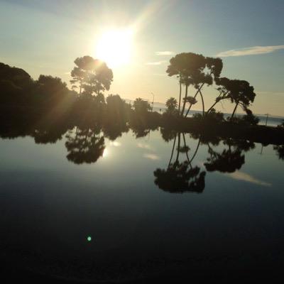 MDelaMegane's profile picture. 