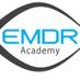 EMDR Academy (@emdracademy) Twitter profile photo