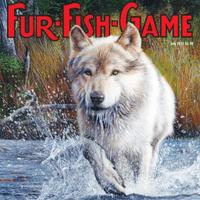 Fur-Fish-Game (@furfishgame) 's Twitter Profile Photo Fur-Fish-Game (@furfishgame) 's Twitter Profile Photo