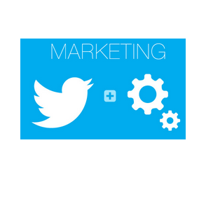 Do you want someone to run Twitter Accounts for you, that send mass amount of High Quality Traffic to your Product/Services ? We Can Help