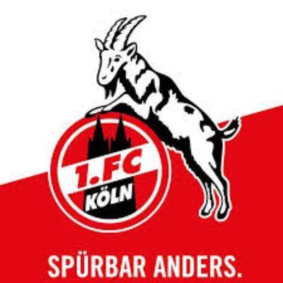 fanseite für alle köln fans täglich News rund um den FC