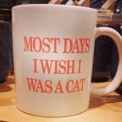 changeling138's profile picture. 