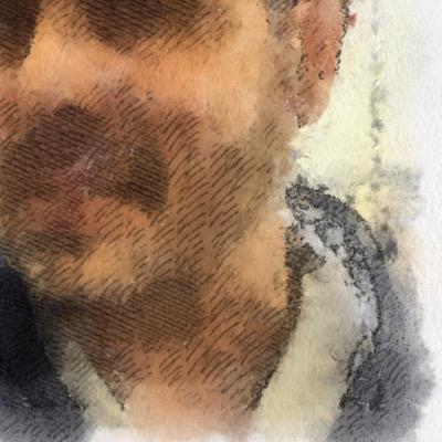 mekashkesh's profile picture. ״המבוגר האחראי״