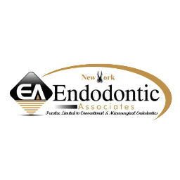 Achieving Excellence in Microsurgical Endodontics