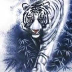 bachhanief's profile picture. 