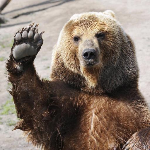 Angry Bears on Twitter: "@ScarSam777 @Bain_PD2 shit guard here"