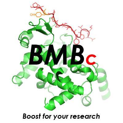 BMBc is an Italian company involved in finding biochemistry and molecular biology solutions for life science research,  and translational biomedical research.