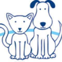 JTAnimalControl's profile picture. Come adopt your next pet!