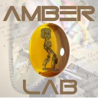 AMBER Lab (@amber_lab) 's Twitter Profile