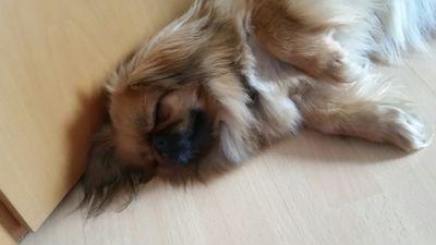 Olga_Nelke's profile picture. 