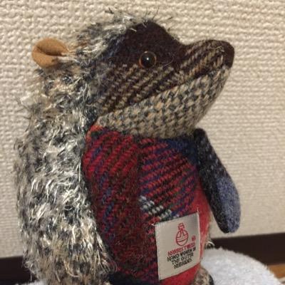 ume_gohan45's profile picture. ミュージカル、演劇、お笑い、オリックスバファローズが好きです⚾️