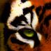 Wasco High Football (@wascofootball) Twitter profile photo Wasco High Football (@wascofootball) Twitter profile photo
