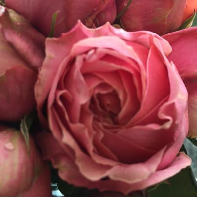 MC47743707's profile picture. 