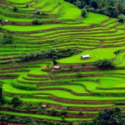 Giá Thuốc Bao Nhiêu