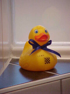 derlewe's profile picture. 