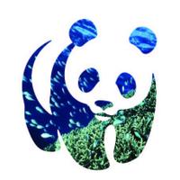 WWF Coral Triangle(@Coral_Triangle) 's Twitter Profile Photo