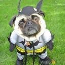 matthew brust - @matskibruski - Twitter