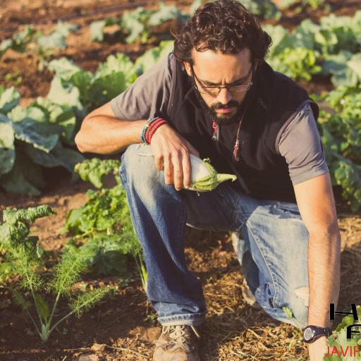 ❤️ Scout⚜️.#Agroecología i #Decrecimiento, como único camino.
Qui treballa la terra se la mereix. El poble mana, el govern obeeix...