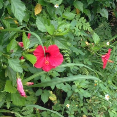 ZCwbjiIEfjdIDCS's profile picture. 寝ぼけならがらTwitter触ってたらログアウトしてしまって…   こっちが新しいやつでーす