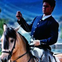 sergio dominguez (@sergio_dminguez) 's Twitter Profile