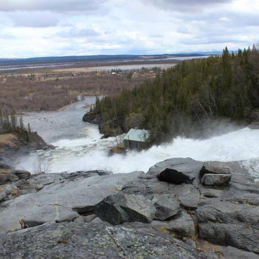 Rejy182's profile picture. Oh, didn't see you there!