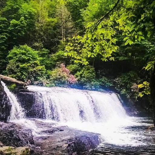 Joyful_Photos's profile picture. Hi, I'm Joy! Photography is a hobby. I use a Canon 5D Mark II and Droid MAXX 10MP Phone Camera