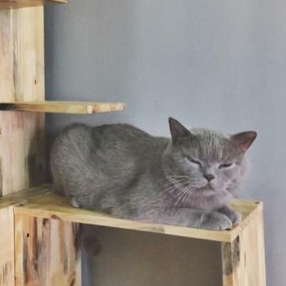 mmwaddles13's profile picture. W.P “Let’s put a smile on that face!”