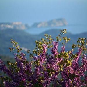 Non commercial account that simply shares the best of #Majorca. What to see and where to go! #Mallorca