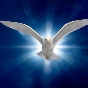 BE LIKE A DOVE, BE A SYMBOL OF PEACE !