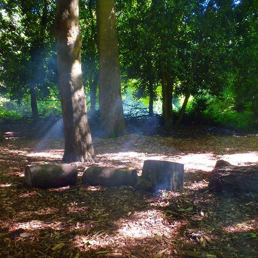 Wirral Forest Schools and Beach Schools, providing Forest Schools Beach Schools and woodland activities through Wirral's Parks and Countryside Service.