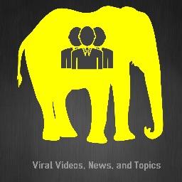 Latest Viral News Stories and Topics