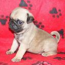 Emma Dent - @EDent98 - Twitter