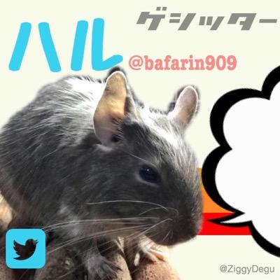 ばふぁリンʢ•̀رق•́ʡさんのプロフィール画像