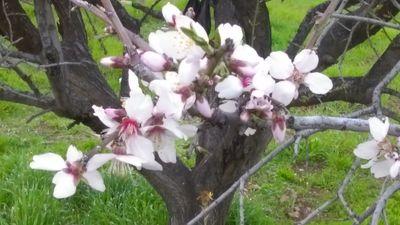 amersaud65's profile picture. الأردن. عمان