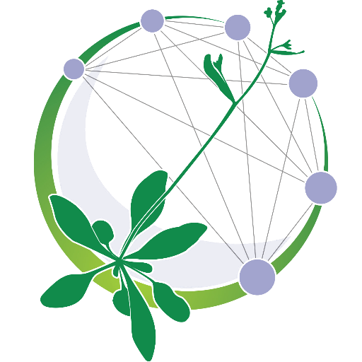 Arabidopsis Information Portal - A one-stop data shop for Arabidopsis and plant research funded by NSF and BBSRC