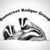SomersetBadgerGroup (@somersetbadgers) Twitter profile photo SomersetBadgerGroup (@somersetbadgers) Twitter profile photo