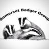 SomersetBadgers's profile picture. Est. 1989. 24/7 Badger Helpline Working with the Avon & Somerset police, RSPCA, Secret World Wildlife Rescue. Volunteer 24/7 Helpline 07850 604585