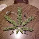 Sergio Betancour Gon (@230611Gon) Twitter