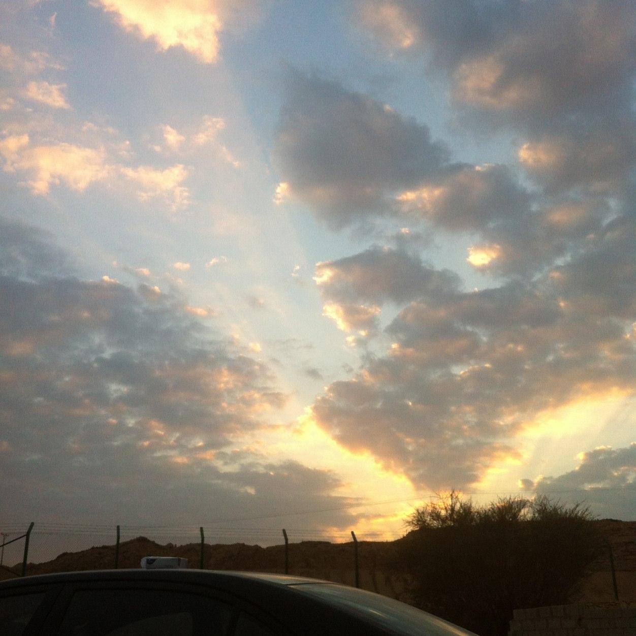 Impressive81's profile picture. 