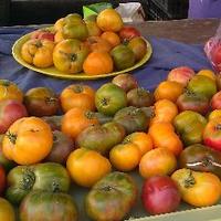 Unique Monique (@mmillipied) 's Twitter Profile Photo