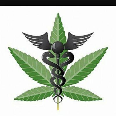 floridaweedclub's profile picture. 